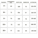 Conjunto Tracksuits chelsea